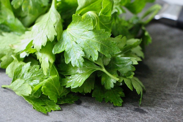 parsley leaves close up