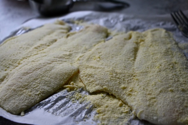 fish filets coated in semolina flour
