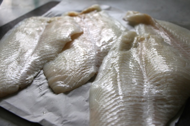 flounder fish filet