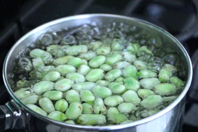 boiling fresh fava beans