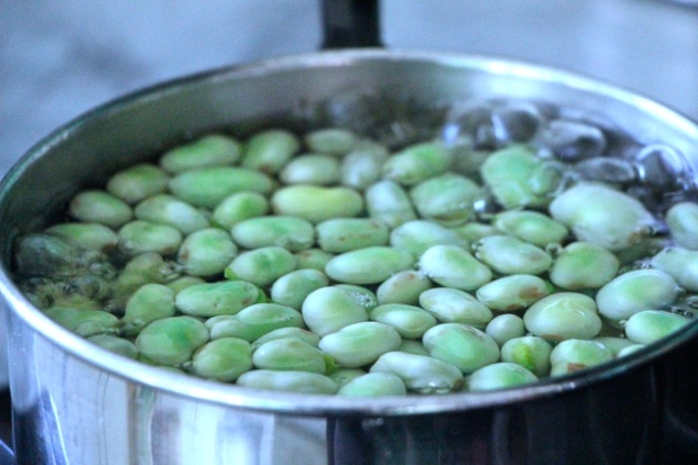 fresh fava beans in a pot