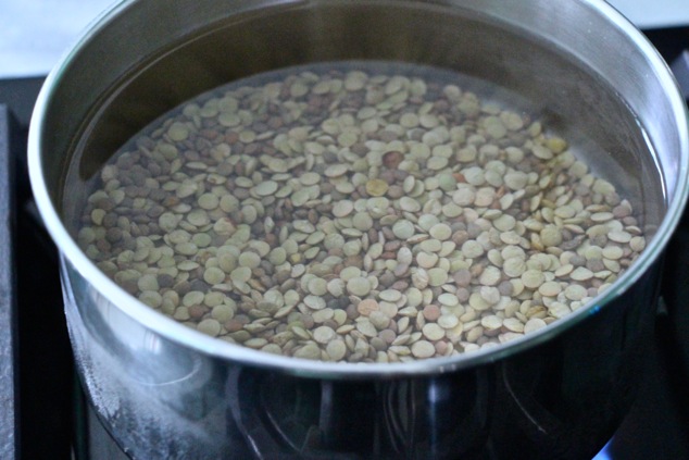 lentils with water in a pot