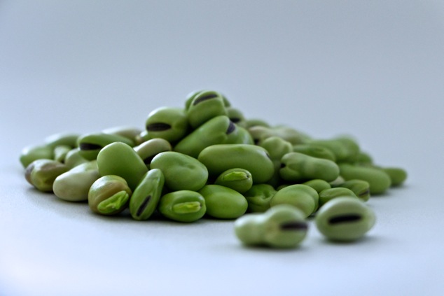 peeled fresh fava beans