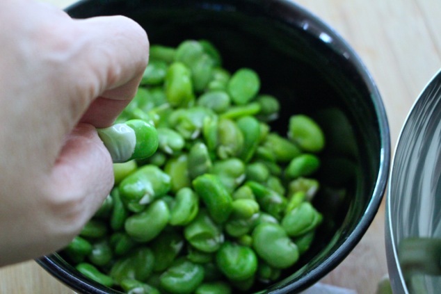 squeezing fava bean out of case close