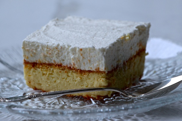 a piece of baked cheesecake close up