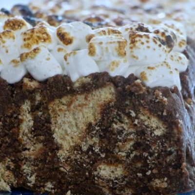 Fudgy and Fun S’mores Log Cake!