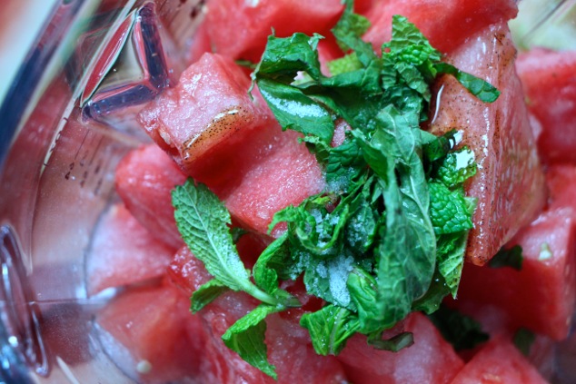 granita ingredients in blender close up