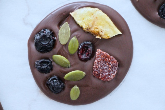 chocolate dried fruit circle close up