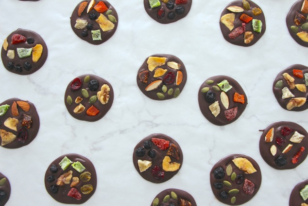 chocolate dried fruit circles